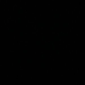 Meet your Posher, Sienna